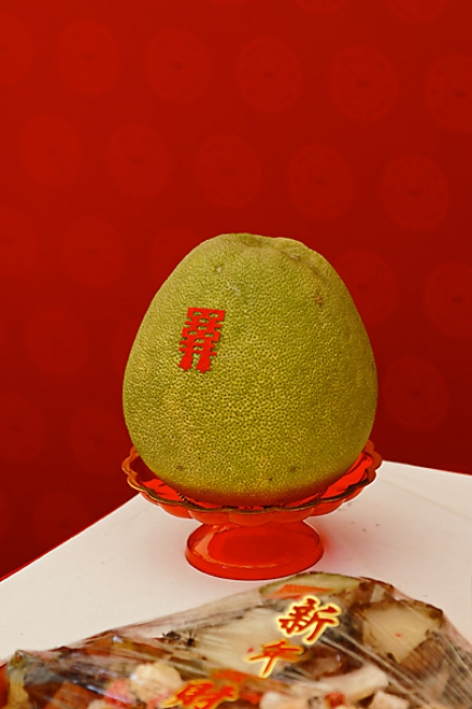 Nouvel an chinois 2011-048